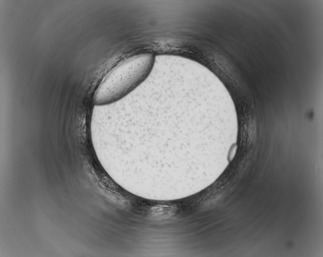 X0000114990700200912071117