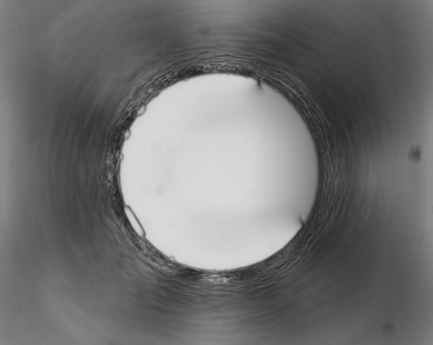 X0000114990701200912071117