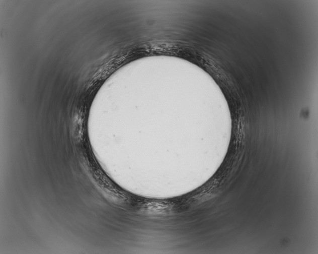 X0000114990703200912071117