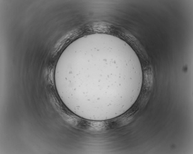 X0000114990705200912071117