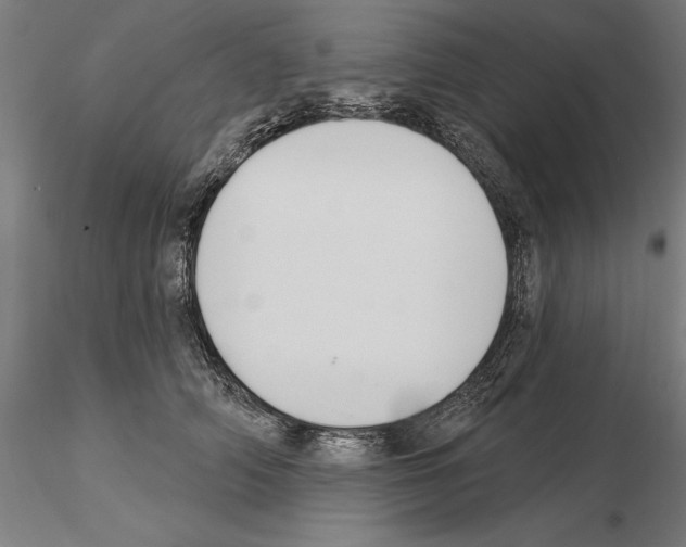 X0000114990706200912071117