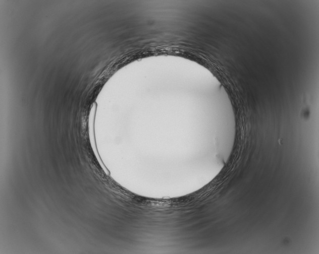 X0000114990709200912071117