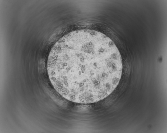 X0000114990711200912071117