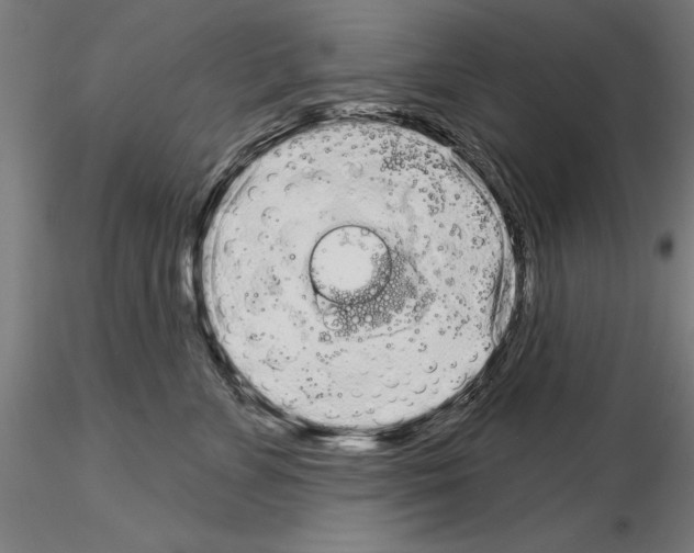 X0000114990715200912071117