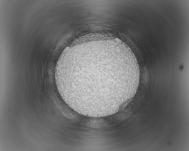 X0000114990716200912071117