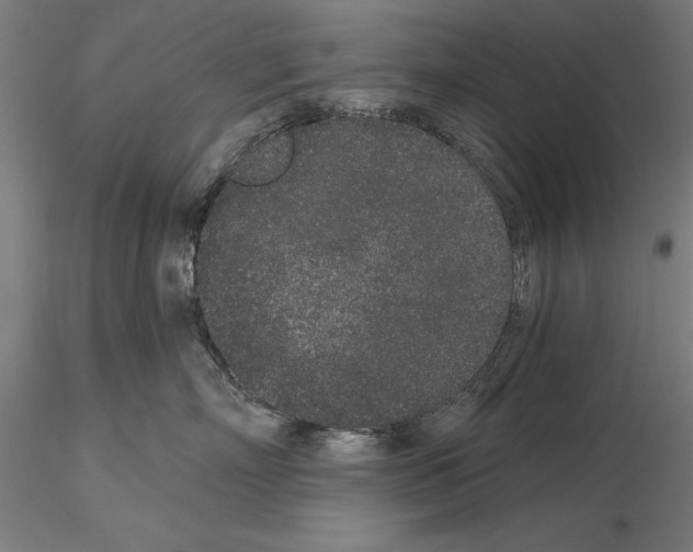 X0000114990718200912071117