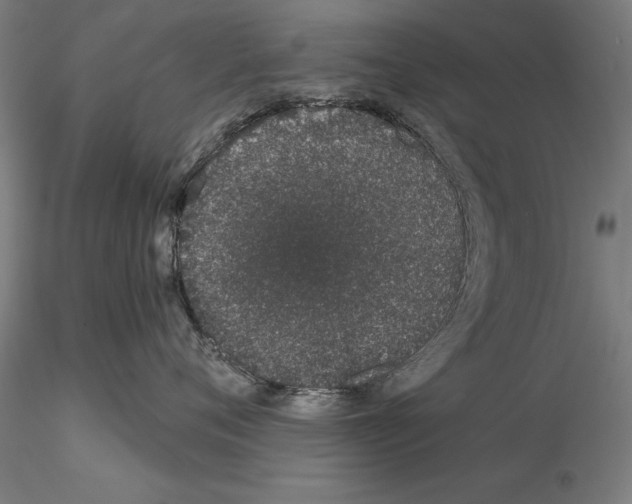 X0000114990720200912071117