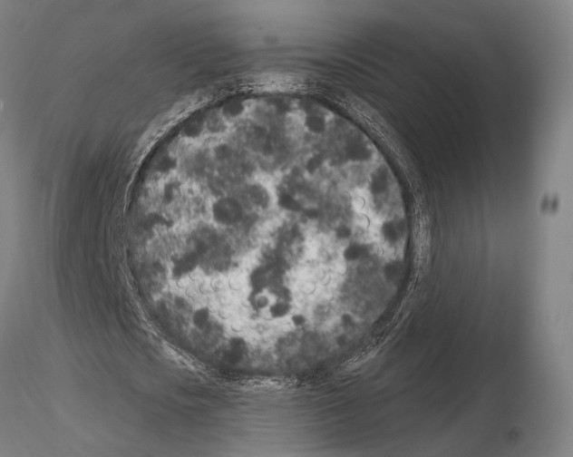 X0000114990721200912071116