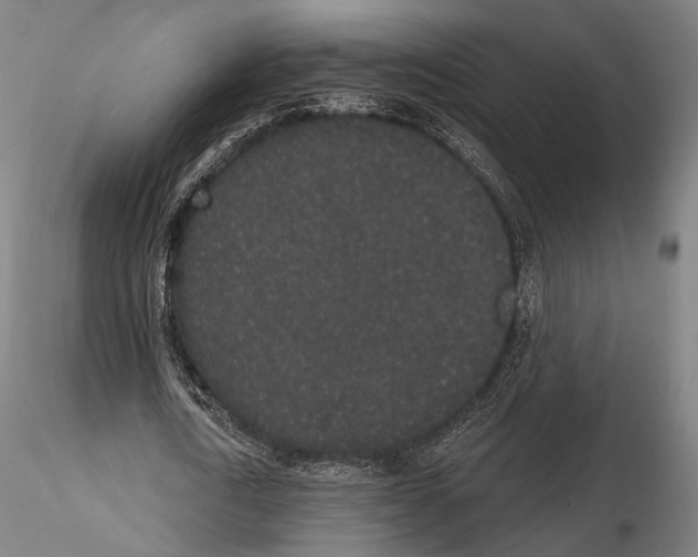 X0000114990722200912071116