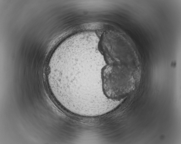 X0000114990725200912071116