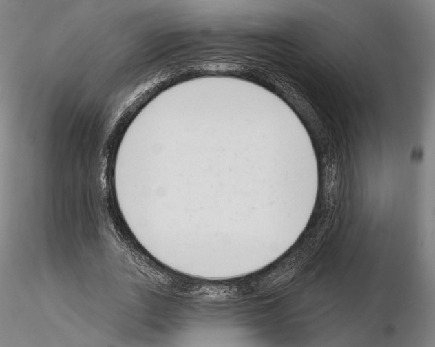 X0000114990727200912071116