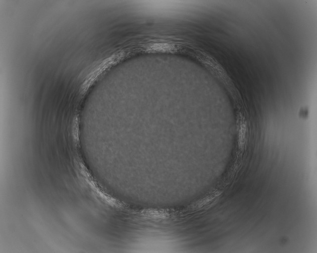 X0000114990729200912071116