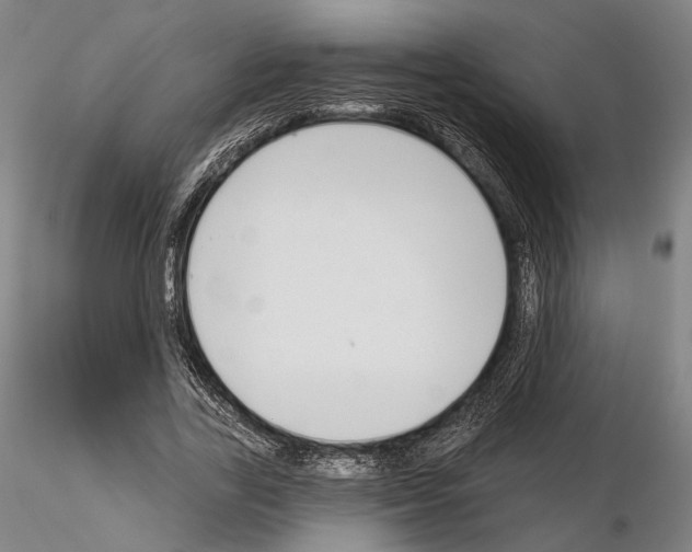 X0000114990731200912071116