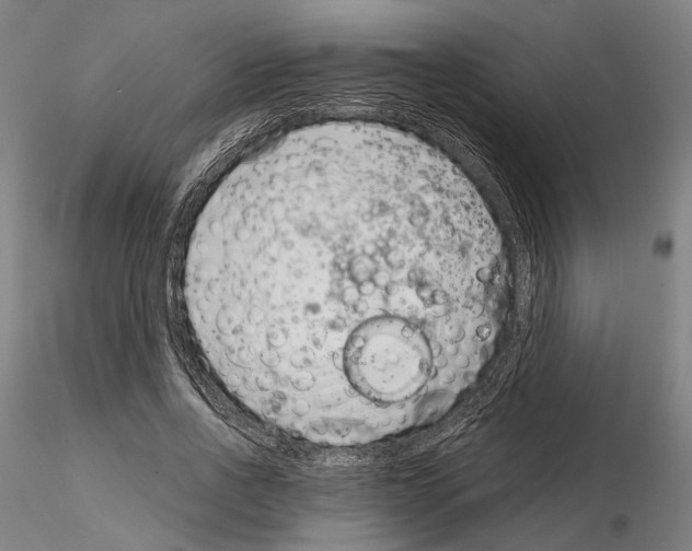 X0000114990734200912071116