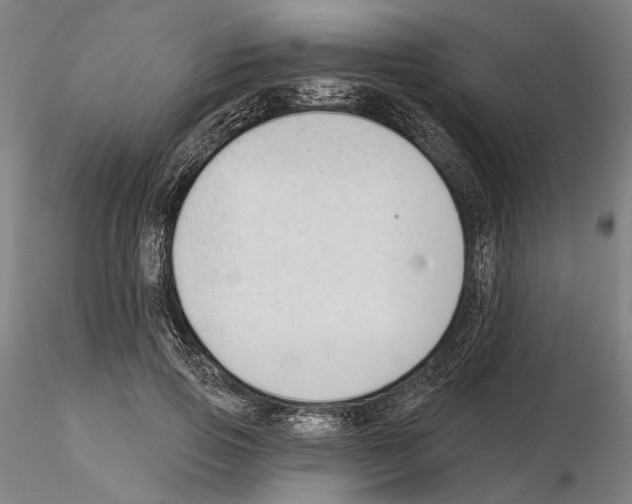 X0000114990741200912071116