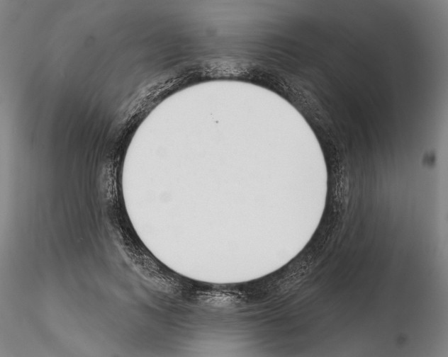 X0000114990743200912071116