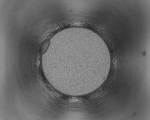 X0000114990746200912071116