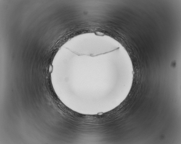 X0000114990750200912071116