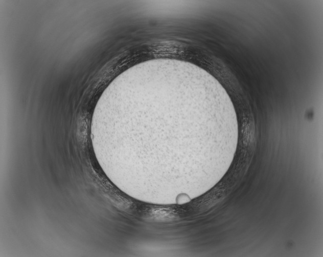 X0000114990753200912071116