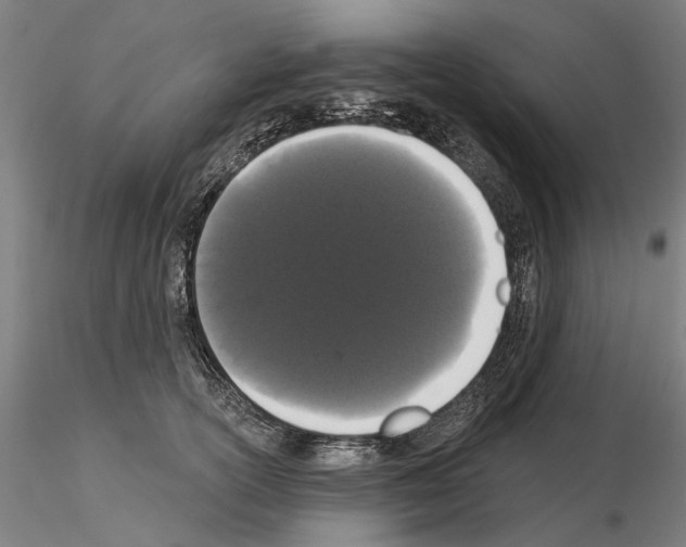 X0000114990754200912071116