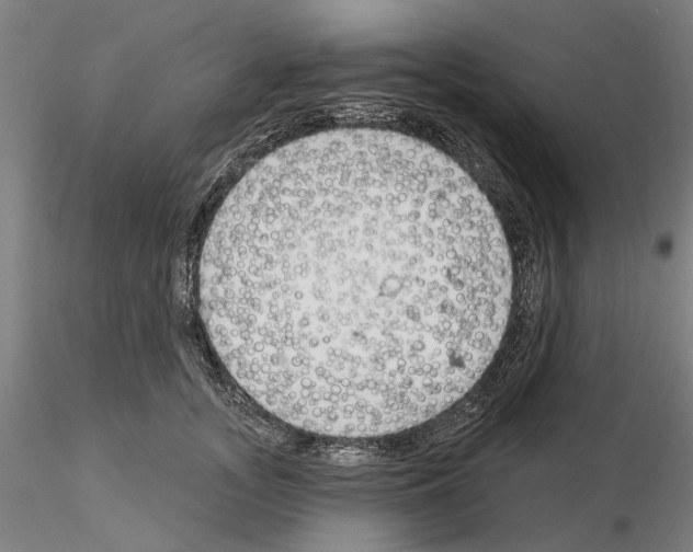 X0000114990755200912071116