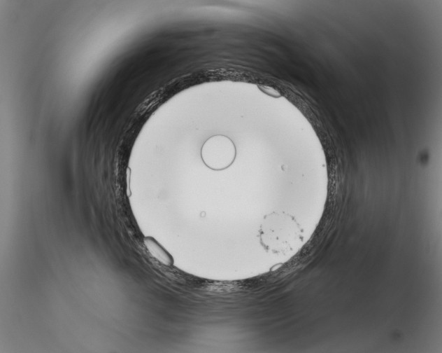 X0000114990762200912071116