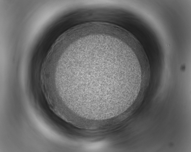 X0000114990765200912071116