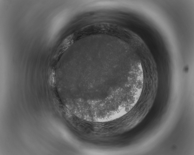 X0000114990766200912071116