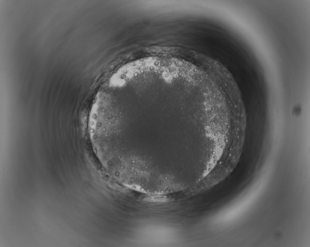 X0000114990767200912071117