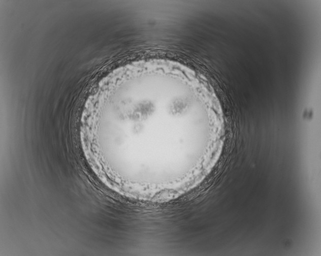 X0000114990769200912071116