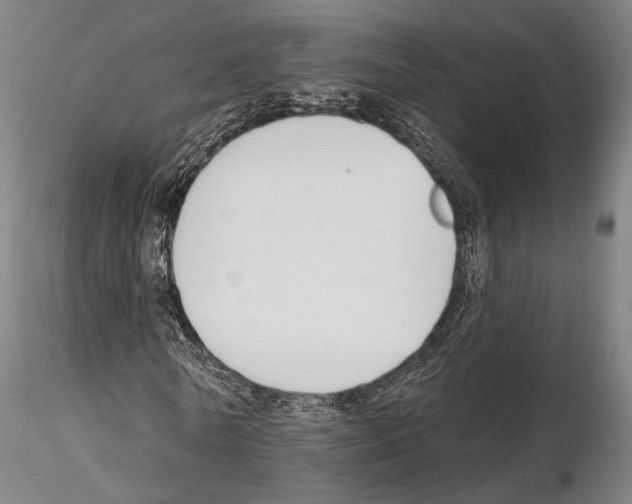 X0000114990770200912071116