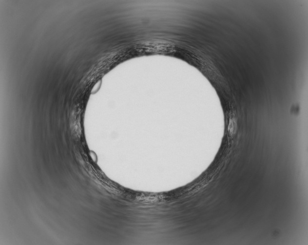 X0000114990771200912071116