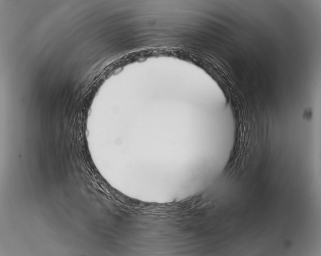 X0000114990773200912071116