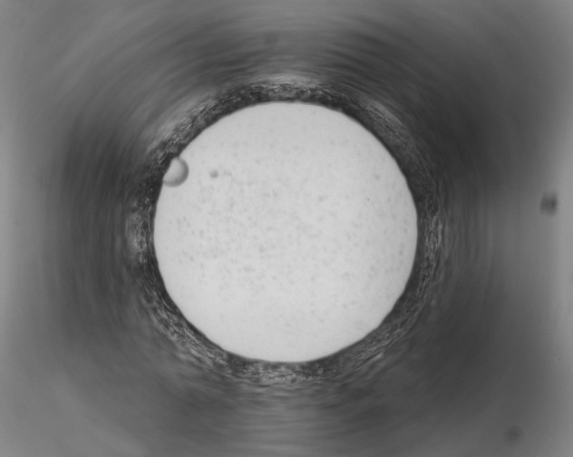 X0000114990774200912071116