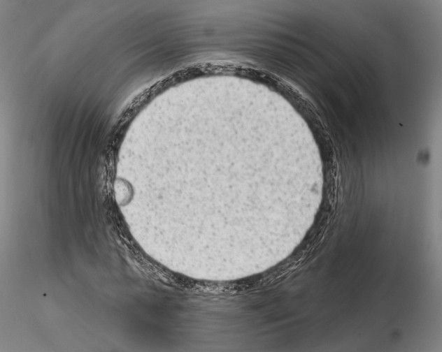 X0000114990775200912071116