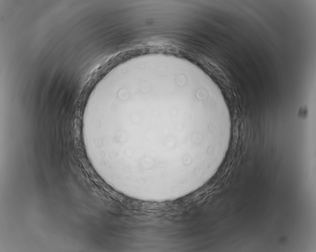 X0000114990776200912071116