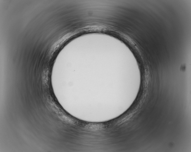 X0000114990778200912071116