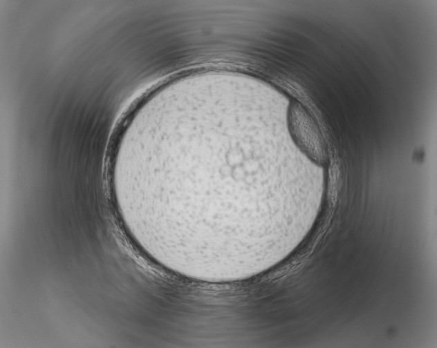 X0000114990780200912071116