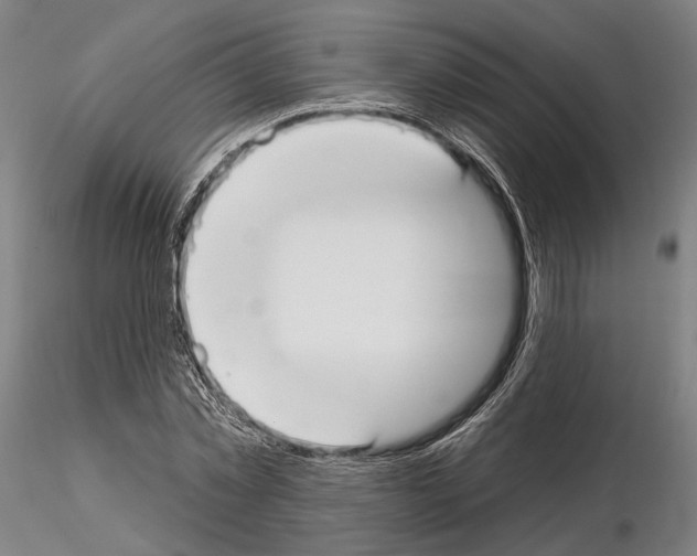 X0000114990781200912071116