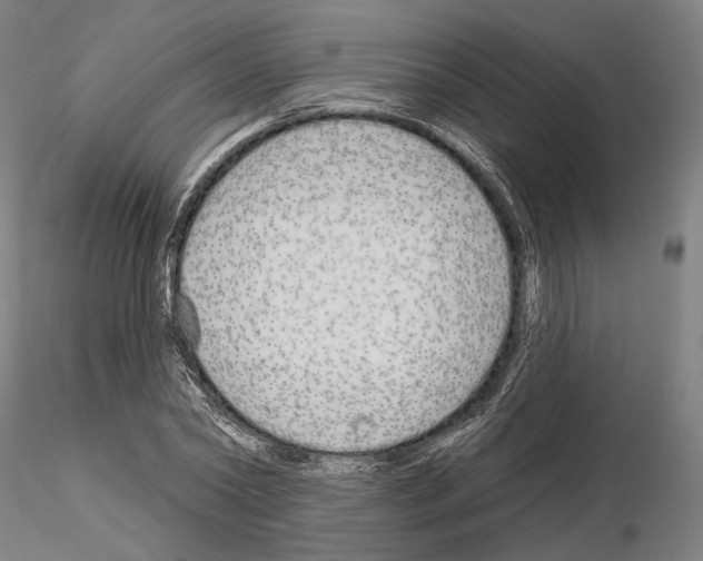 X0000114990782200912071116