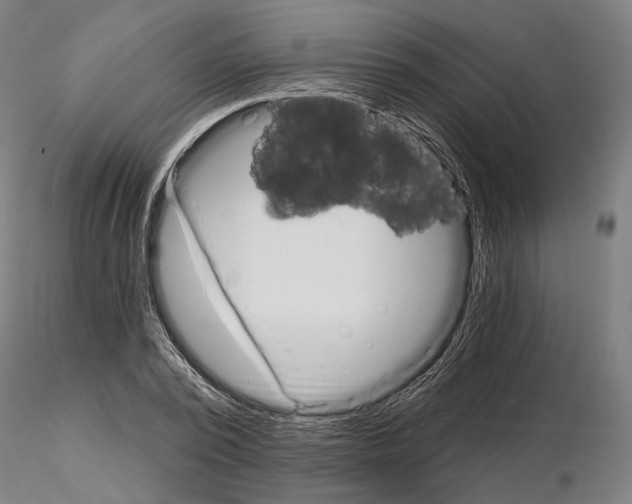 X0000114990784200912071116