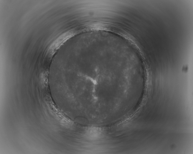 X0000114990785200912071116