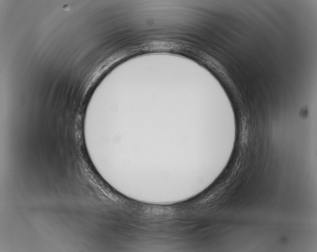 X0000114990786200912071116