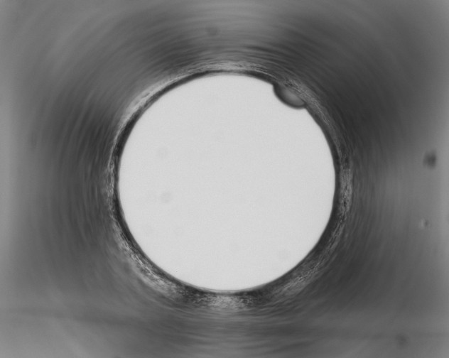 X0000114990787200912071116