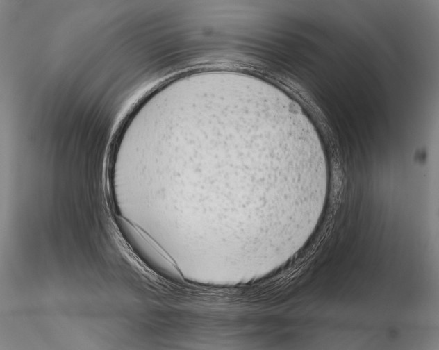 X0000114990788200912071116