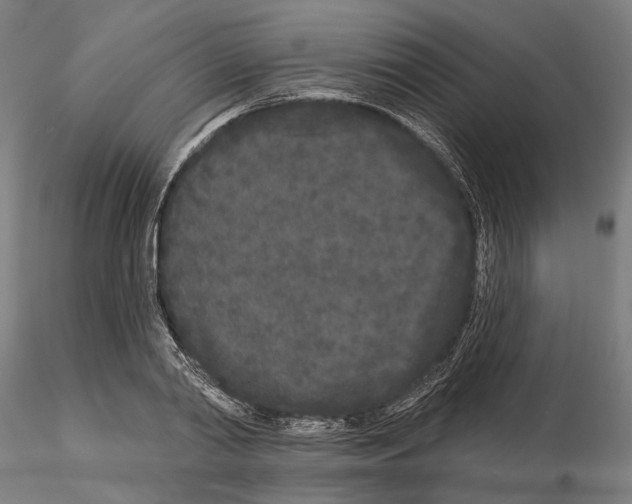 X0000114990790200912071116