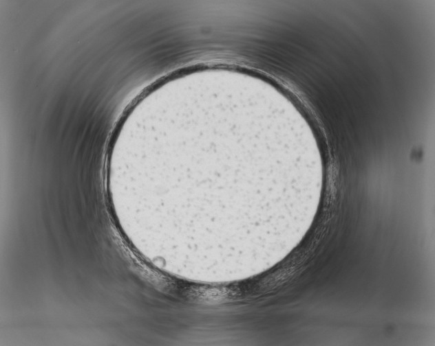 X0000114990791200912071116