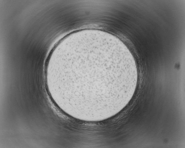 X0000114990792200912071116