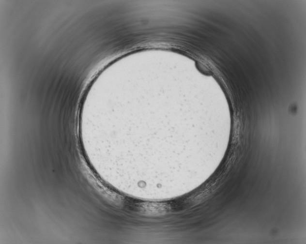 X0000114990795200912071115