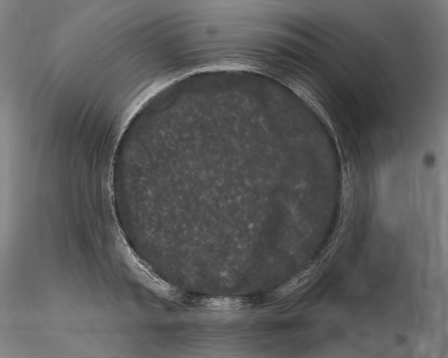 X0000114990797200912071115